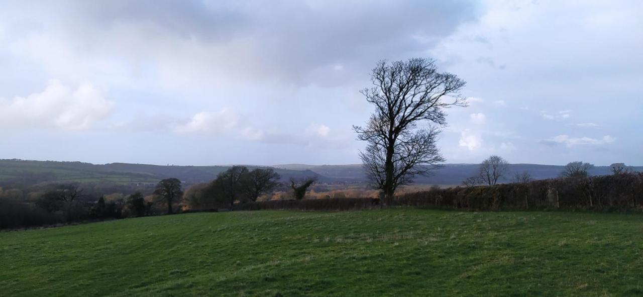 Detached Barn With Valley Views Near Cardigan Villa Bagian luar foto